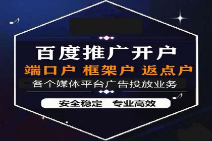 搜索引擎营销（SEM）在移动端的推广案例